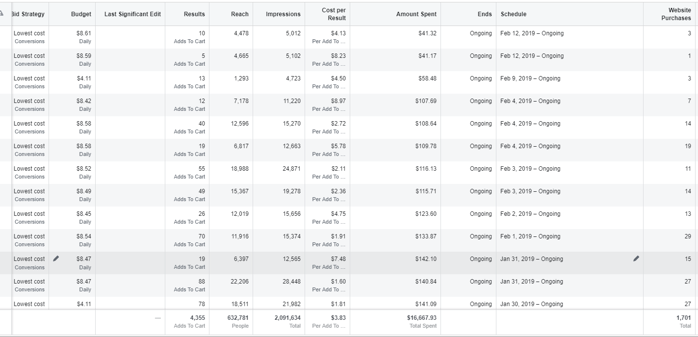 Scaling Facebook Ad Campaign