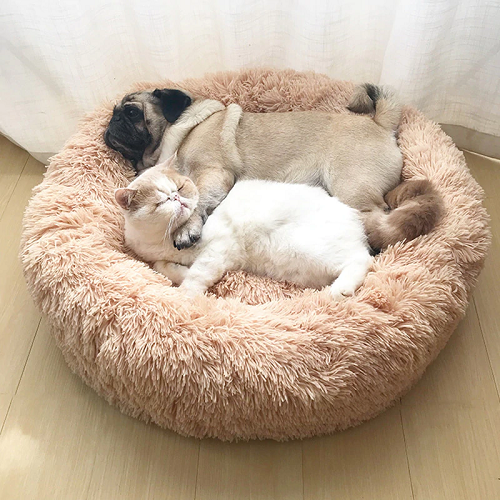 calming pet bed