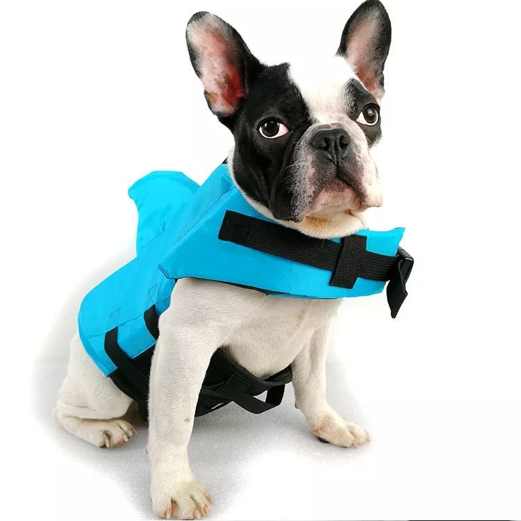 Dog shark life vest on Ecomhunt