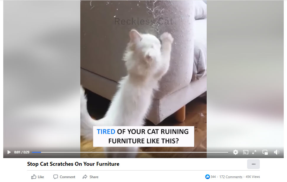 Cat couch guard Facebook video ad