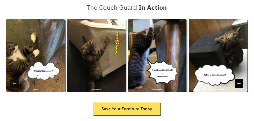 cat couch guard in action pictures