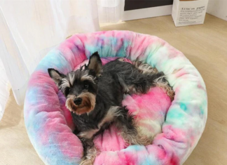 Facebook Viral Product Review – This Pet Bed Just Keeps On Selling! Facebook Viral Product Review Pet Bed