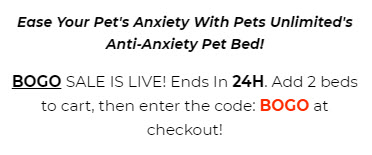 pet bed bogo discount