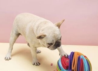 3 Hot Winning Products From Ecomhunt To Sell This Christmas 2021 3 Hot Winning Products From Ecomhunt To Sell This Christmas 2021