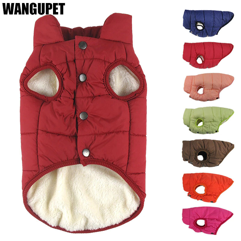 Winter Coat For Dogs