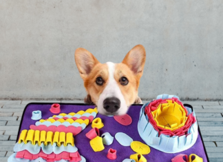 Ecomhunt Trending Product Recommendation – This Dog Play Mat is Selling Like Crazy on Facebook Ecomhunt Trending Product Recommendation - This Dog Play Mat is Selling Like Crazy on Facebook