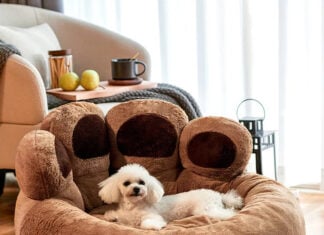 Ecomhunt Trending Product Recommendation – This Old Winning Product Is Making A Comeback, But With A Twist! Ecomhunt Trending Product Recommendation - This Old Winning Product Is Making A Comeback, But With A Twist!