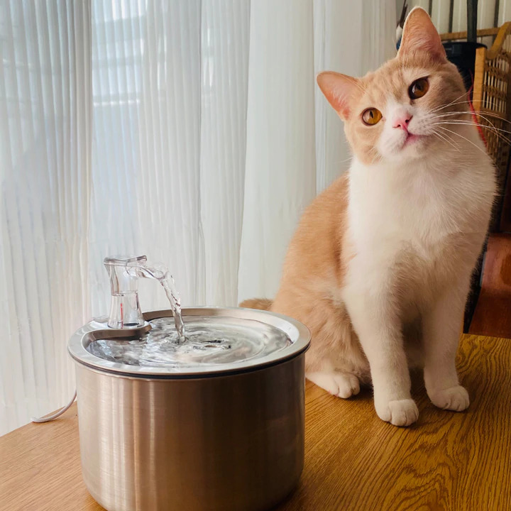 cat drinking water fountain Ecomhunt