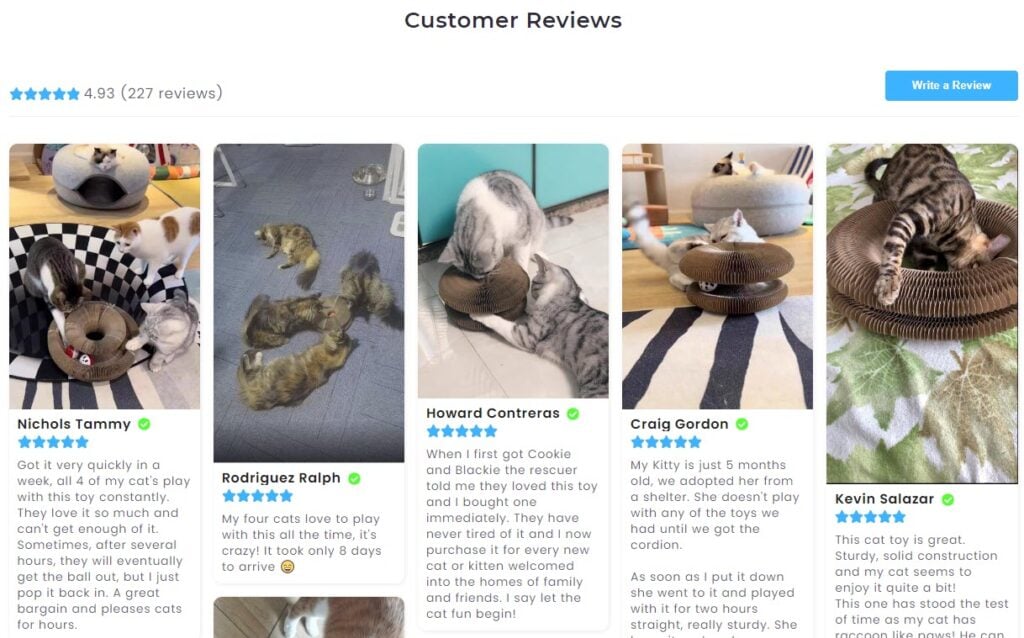 cat product reviews