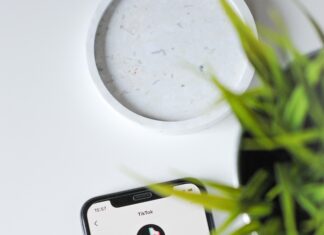 TikTok Ads Business Booms as Meta, Rivals Struggling