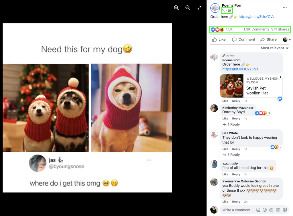 pet christmas warm hats facebook.png