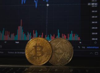 Cryptocurrency is in Freefall