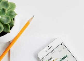 Shopify President Gives Advice on Growing your Business