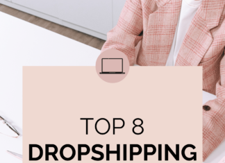 Top 8 Dropshipping Niches Dropshipping Niche